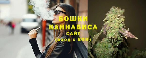 молекула духа Зеленодольск