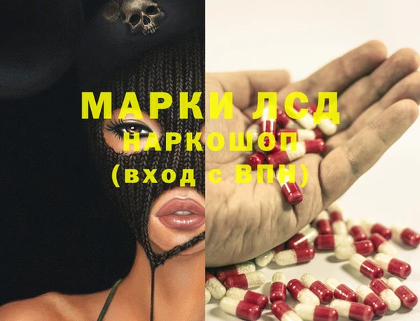 прущие грибы Заволжье