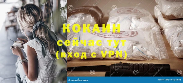 молекула духа Зеленодольск