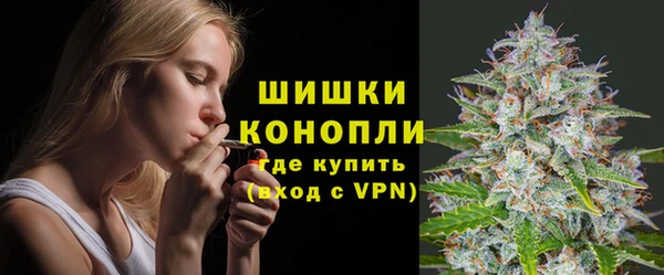 молекула духа Зеленодольск