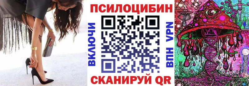 Псилоцибиновые грибы мицелий  Кизилюрт 